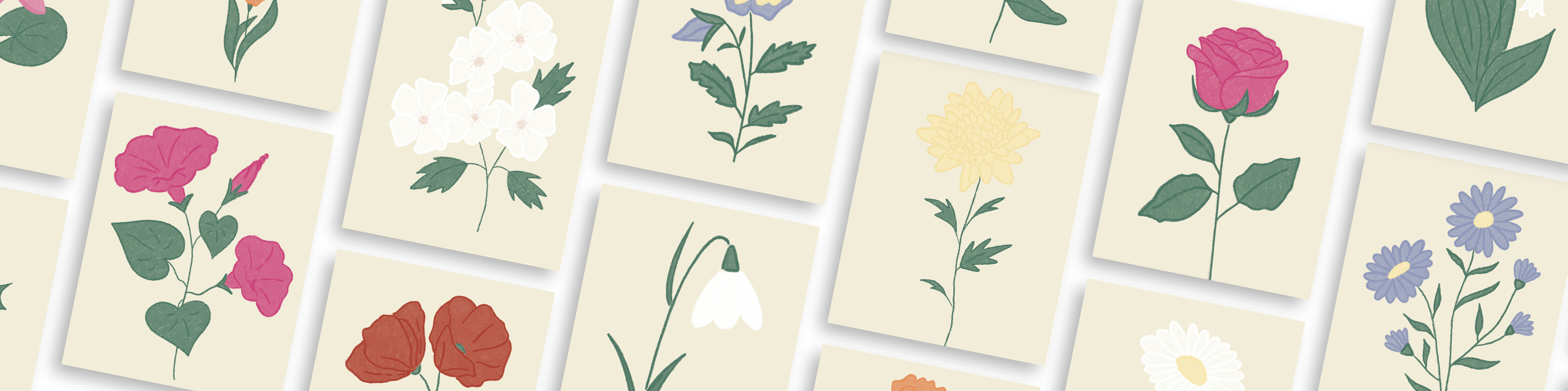 Geboortemaand bloemen