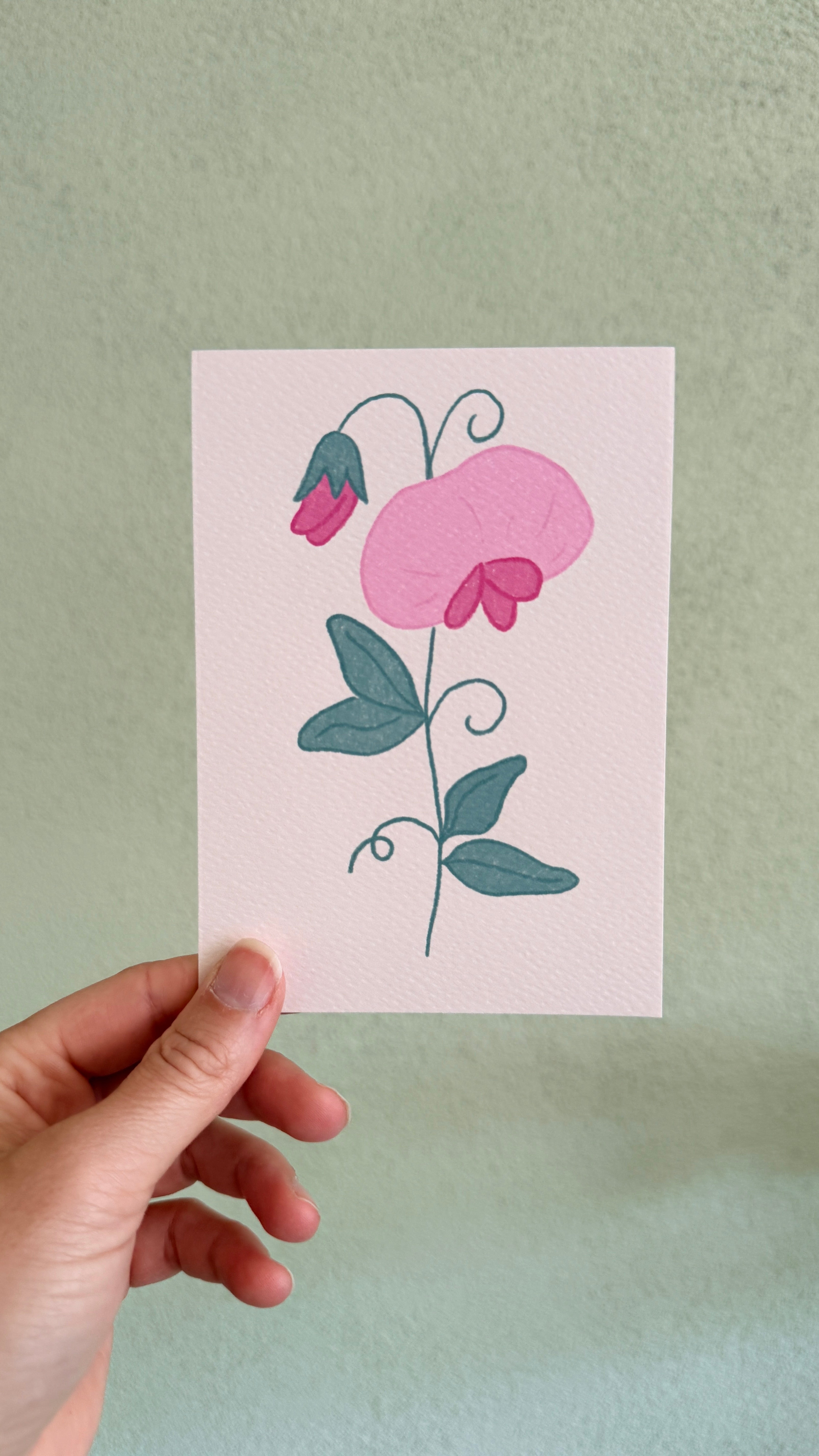 Lathyrus | April