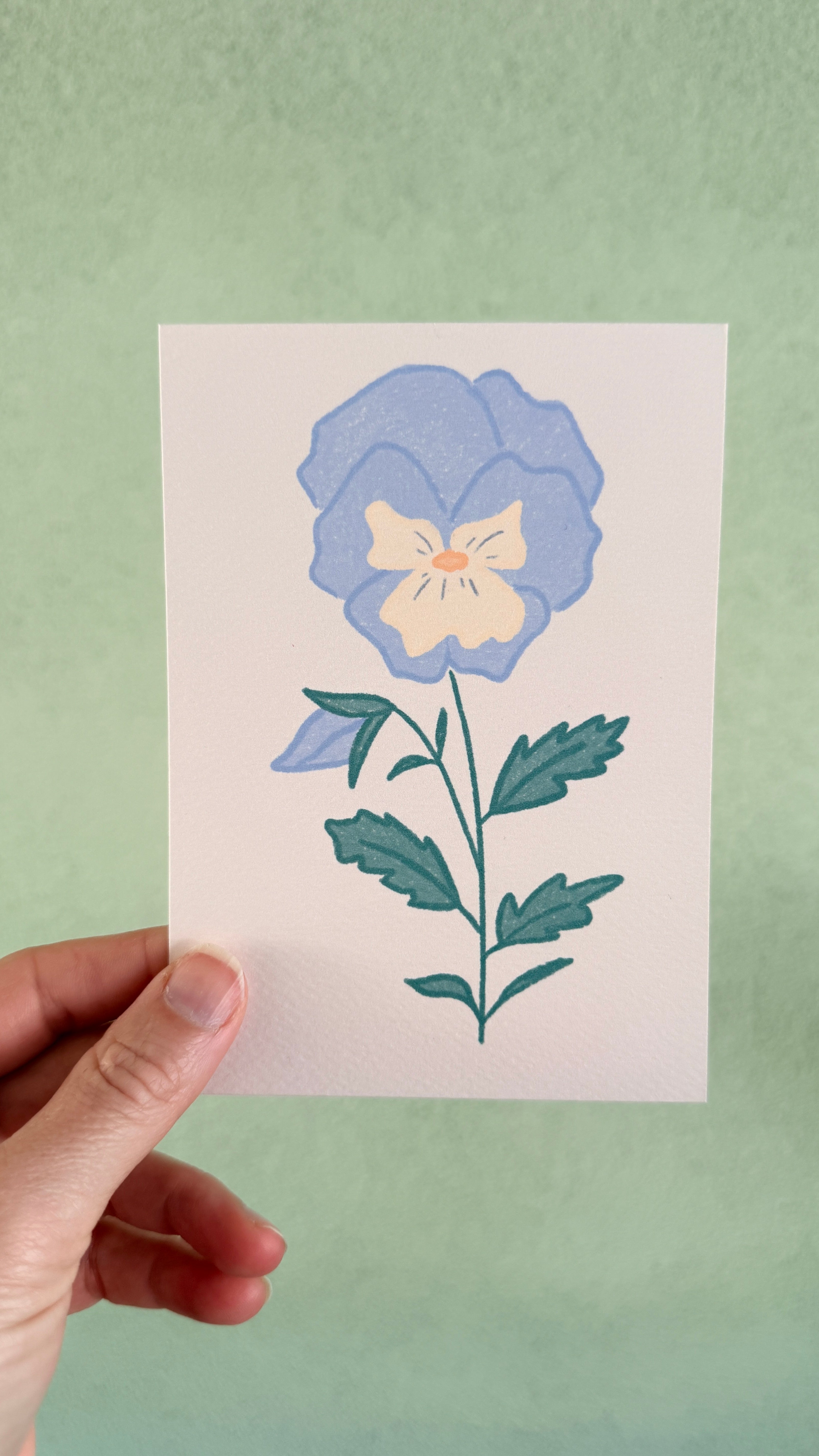 Viooltje | Februari