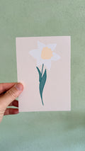 Narcis | Maart