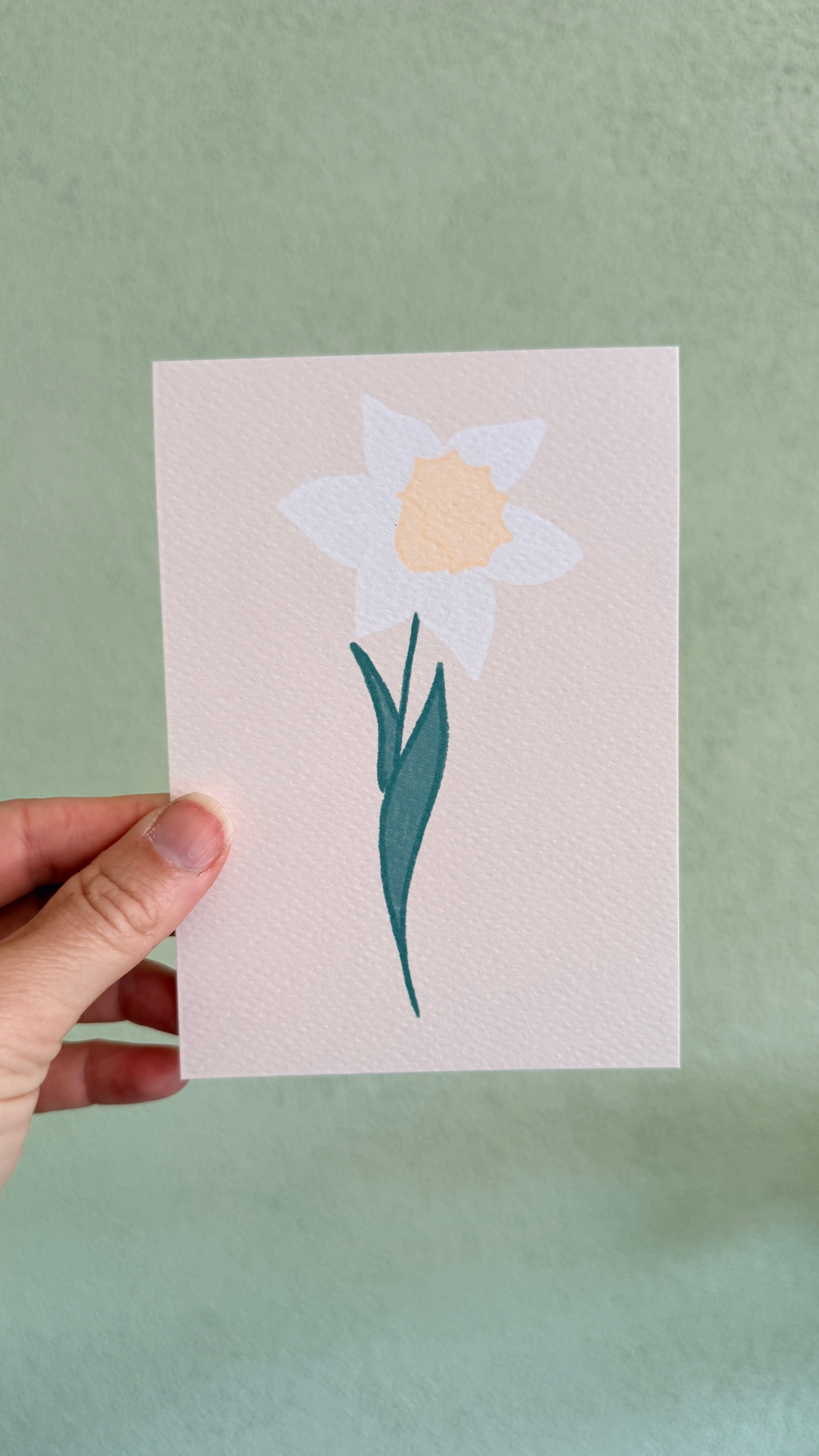 Narcis | Maart