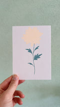 Chrysant | November