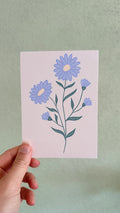 Aster | September